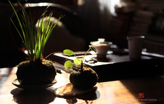 禅茶与六和敬