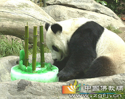 熊猫烧香.jpg