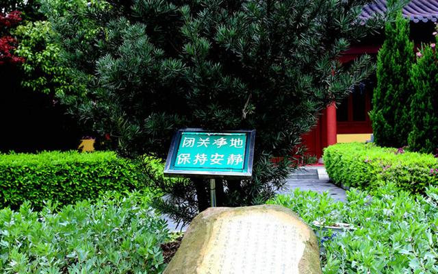 庐山东林寺闭关念佛圆满出关 听听师兄们闭关的感受