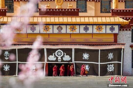 西藏佛学院各教派“百家争鸣”“僧尼共学”